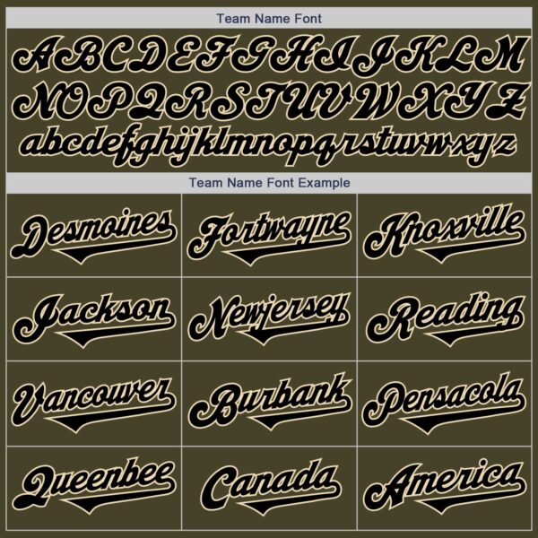 Custom Olive Black-Cream Authentic Two Tone Salute To Service Baseball Jersey