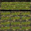 Custom Camo Green-Gold Authentic Salute To Service Baseball Jersey
