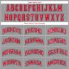 Custom Gray Red-Black Performance T-Shirt
