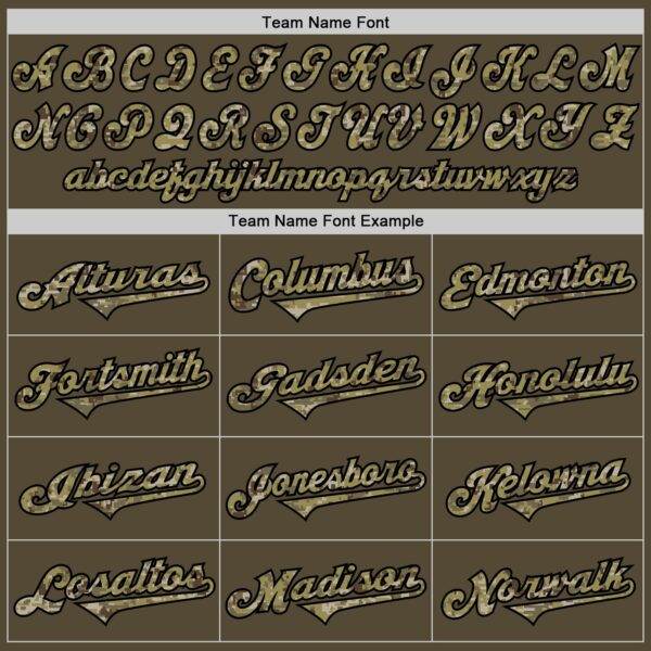 Custom Olive Camo-Black Authentic American Flag Fashion Salute To Service Baseball Jersey