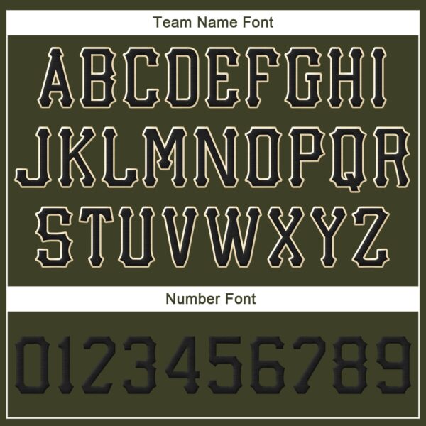 Custom Olive Black-Cream Stitched Adjustable Snapback Salute To Service Hat