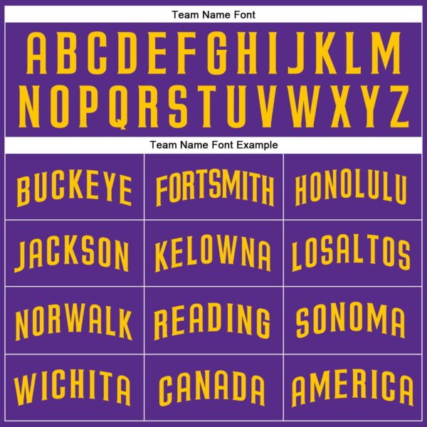 Custom Purple Gold Authentic Baseball Jersey