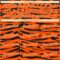 Custom Orange Cream 3D Pattern Design Tiger Print Authentic Basketball Jersey