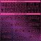 Custom Black Pink-Purple Halftone Authentic City Edition Basketball Jersey