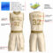 Custom Cream Old Gold Round Neck Suit Basketball Jersey
