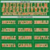 Custom Grass Green Orange-Black Mesh Authentic Throwback Football Jersey