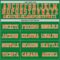 GrassGreen0038-2 Custom Grass Green Orange-Black Mesh Authentic Throwback Football Jersey