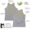 Custom Gray Light Blue-Gold Authentic Throwback Basketball Jersey