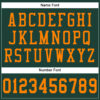 Custom Green Bay Orange Mesh Authentic Football Jersey