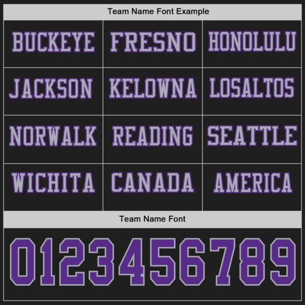 Custom Black Purple-Gray Long Sleeve Authentic Football Jersey