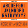 Custom Orange Orange-Navy Mesh Authentic Football Jersey