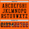 Custom Orange Vintage USA Flag-Black Mesh Authentic Football Jersey