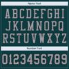 Custom Midnight Green Light Gray-Black Mesh Authentic Football Jersey