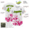 Custom White Neon Green Black-Pink Splatter Authentic Baseball Jersey