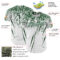 Custom White Green Distressed Scratch Brush Stroke Authentic Baseball Jersey
