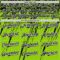 Custom Neon Green Black-White Distressed Scratch Brush Stroke Authentic Baseball Jersey