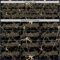 Custom Black Vegas Gold 3D Pattern Design Abstract Network Authentic Baseball Jersey