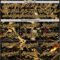 Custom Black-Old Gold 3D Pattern Design Motorcycle Motocross Skull Authentic Baseball Jersey