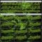 Custom Black-Neon Green 3D Pattern Design Motorcycle Motocross Skull Authentic Baseball Jersey