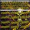 Custom Black-Light Yellow 3D Pattern Design Motorcycle Motocross Skull Authentic Baseball Jersey