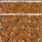Custom Brown Bay Orange-Black Leopard Print Authentic Baseball Jersey