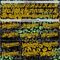 Custom Black Yellow-Green Leopard Print Authentic Baseball Jersey