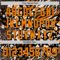 Custom Black Bay Orange-White Leopard Print Tiger Stripe Authentic Baseball Jersey