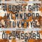 Custom Brown Black-White Leopard Print Tropical Jungle Authentic Baseball Jersey