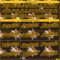 Custom Brown Yellow 3D Pattern Design Leopard Authentic Baseball Jersey
