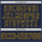 Custom Navy Gold 3D Pattern Design Curve Lines Authentic Baseball Jersey