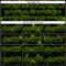 Custom Black Neon Green 3D Pattern Design Geometric Halftone Dots Authentic Baseball Jersey