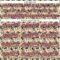 Custom Cream Medium Pink-Black 3D Pattern Design Animal Cat Authentic Baseball Jersey