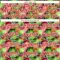 Custom Black Red-White 3D Pattern Design Tropical Plant Authentic Baseball Jersey
