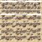 Custom Vegas Gold Brown-White 3D Pattern Design Animal Horse Authentic Baseball Jersey