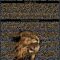 Custom Black Old Gold 3D Pattern Design Animal Lion Authentic Baseball Jersey