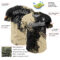Custom Cream Black-White 3D Pattern Design Abstract Brush Stroke Authentic Baseball Jersey