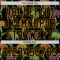 Custom Black Gold 3D Pattern Design Mardi Gras Shrove Tuesday Authentic Baseball Jersey
