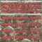 Custom Camo Red White-Black Woodland Forest Camouflage Authentic Salute To Service Baseball Jersey