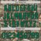 Custom Camo Kelly Green-Black Woodland Forest Camouflage Authentic Salute To Service Baseball Jersey