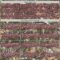 Custom Camo Burgundy White-Black Woodland Forest Camouflage Authentic Salute To Service Baseball Jersey