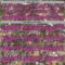 Custom Camo Pink-Navy Woodland Forest Camouflage Authentic Salute To Service Baseball Jersey
