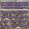 Custom Camo Purple Gray-Black Woodland Forest Camouflage Authentic Salute To Service Baseball Jersey