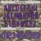 Custom Camo Purple Gray-Black Woodland Forest Camouflage Authentic Salute To Service Baseball Jersey