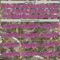 Custom Camo Light Blue Black-Pink Woodland Forest Camouflage Authentic Salute To Service Baseball Jersey