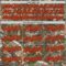 Custom Camo Red Old Gold-Black Woodland Forest Camouflage Authentic Salute To Service Baseball Jersey