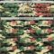 Custom Camo Vintage Mexican Flag Cream-Red Woodland Forest Tactical Camouflage Outdoor Leaf Authentic Baseball Jersey