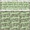 Custom Women's Green White-Neon Green Dollar 3D V-Neck Cropped Baseball Jersey
