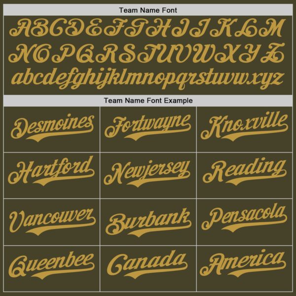 Custom Olive Old Gold Authentic Salute To Service Baseball Jersey