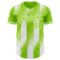 Custom Neon Green-White Gradient Classic Vertical Stripe Authentic Baseball Jersey