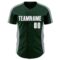 Custom Green White-Gray Classic Color Block Side Panel Stripe Authentic Baseball Jersey